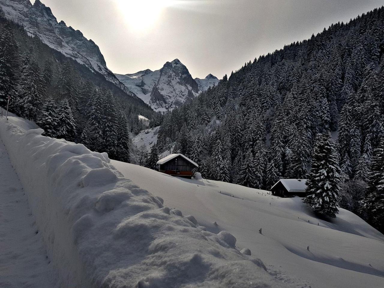 Alpenlodge Willigen Exterior foto